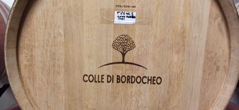 Visita alla Cantina Colli Di Bordocheo