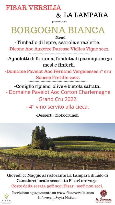 borgogna in bianco