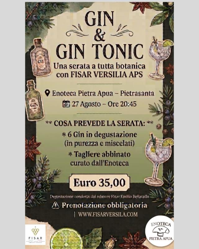 gin e gin tonic